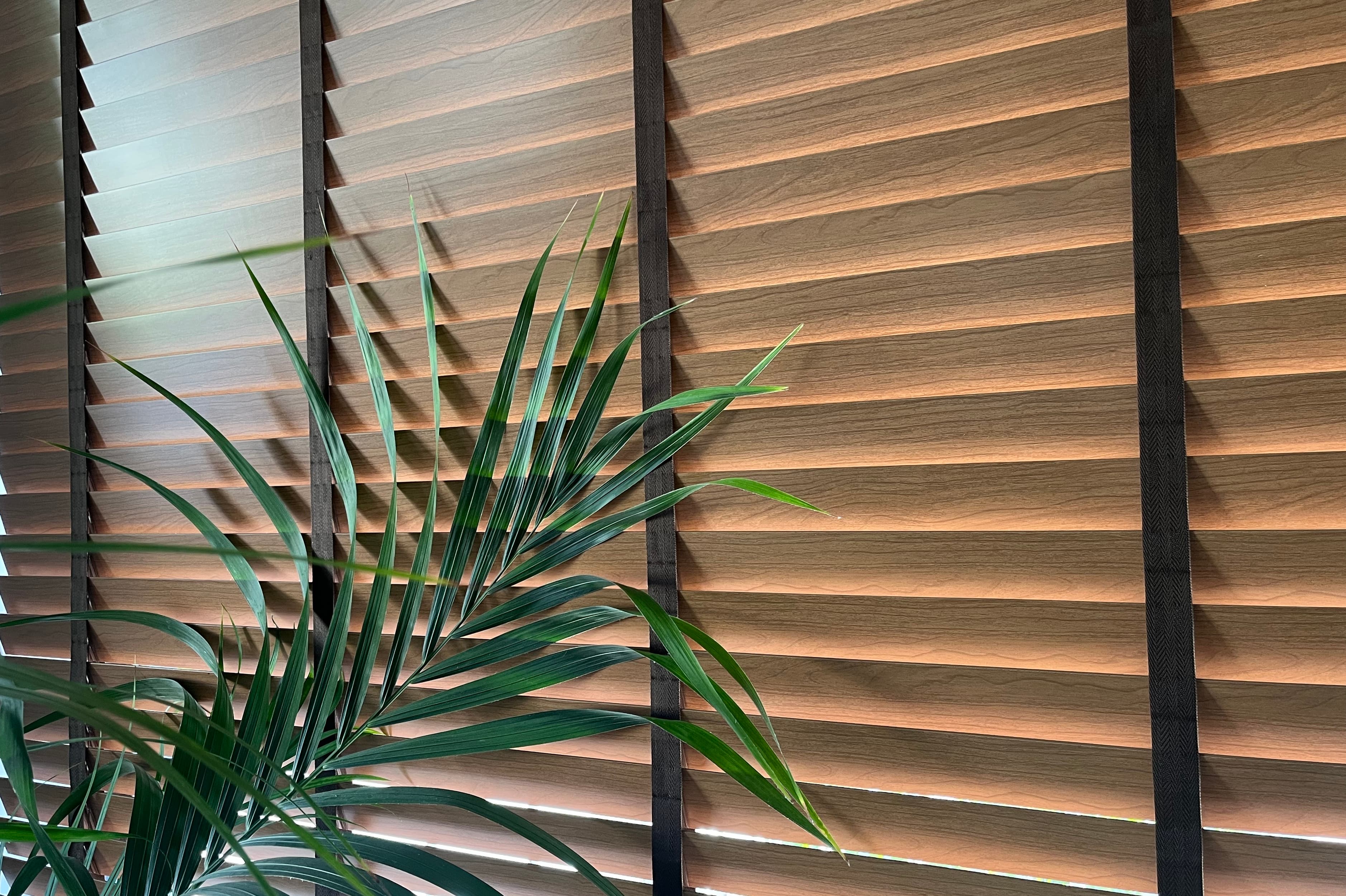 Venetian Blinds (Wooden 50mm)
