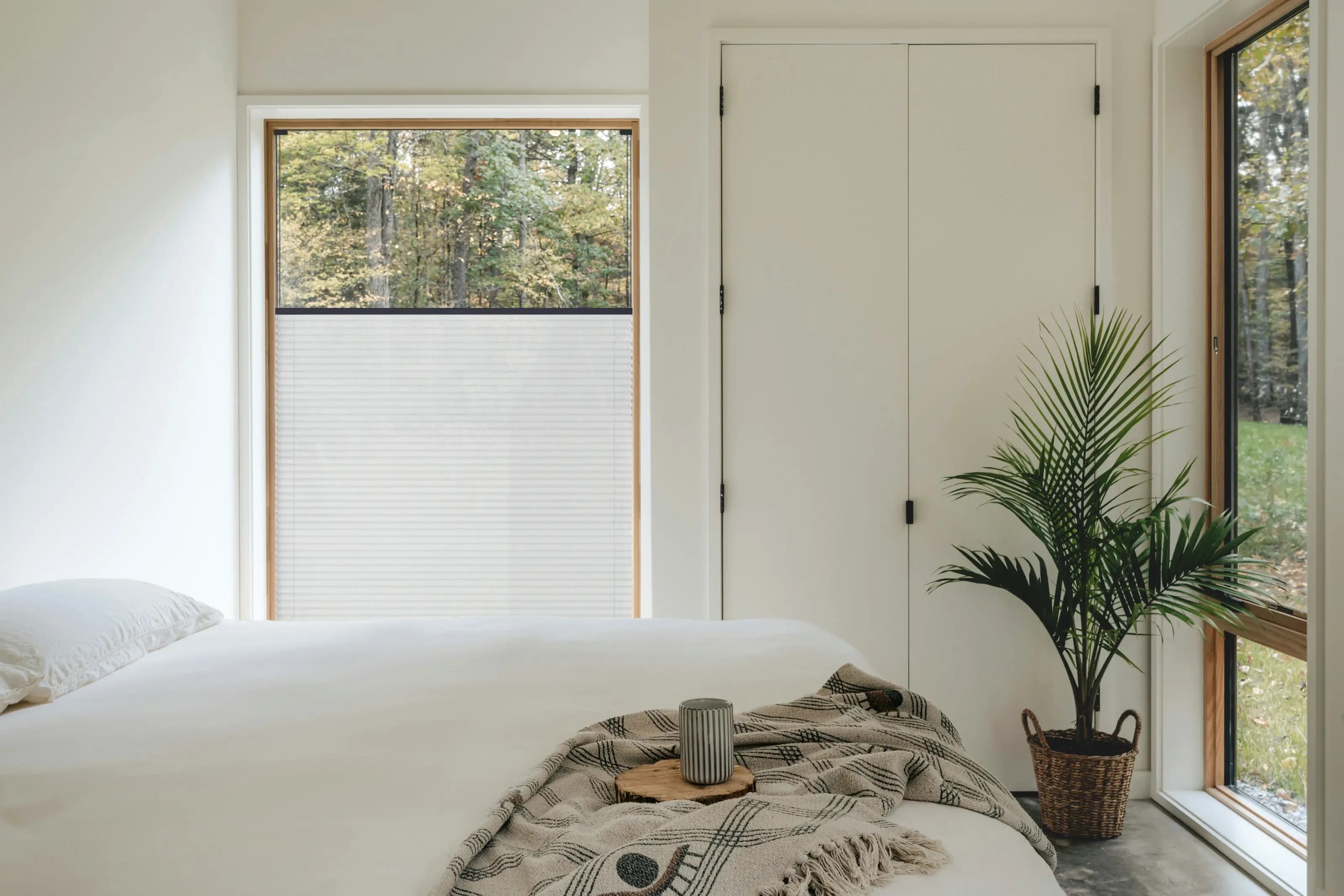 Silver Birch + anthracite profile