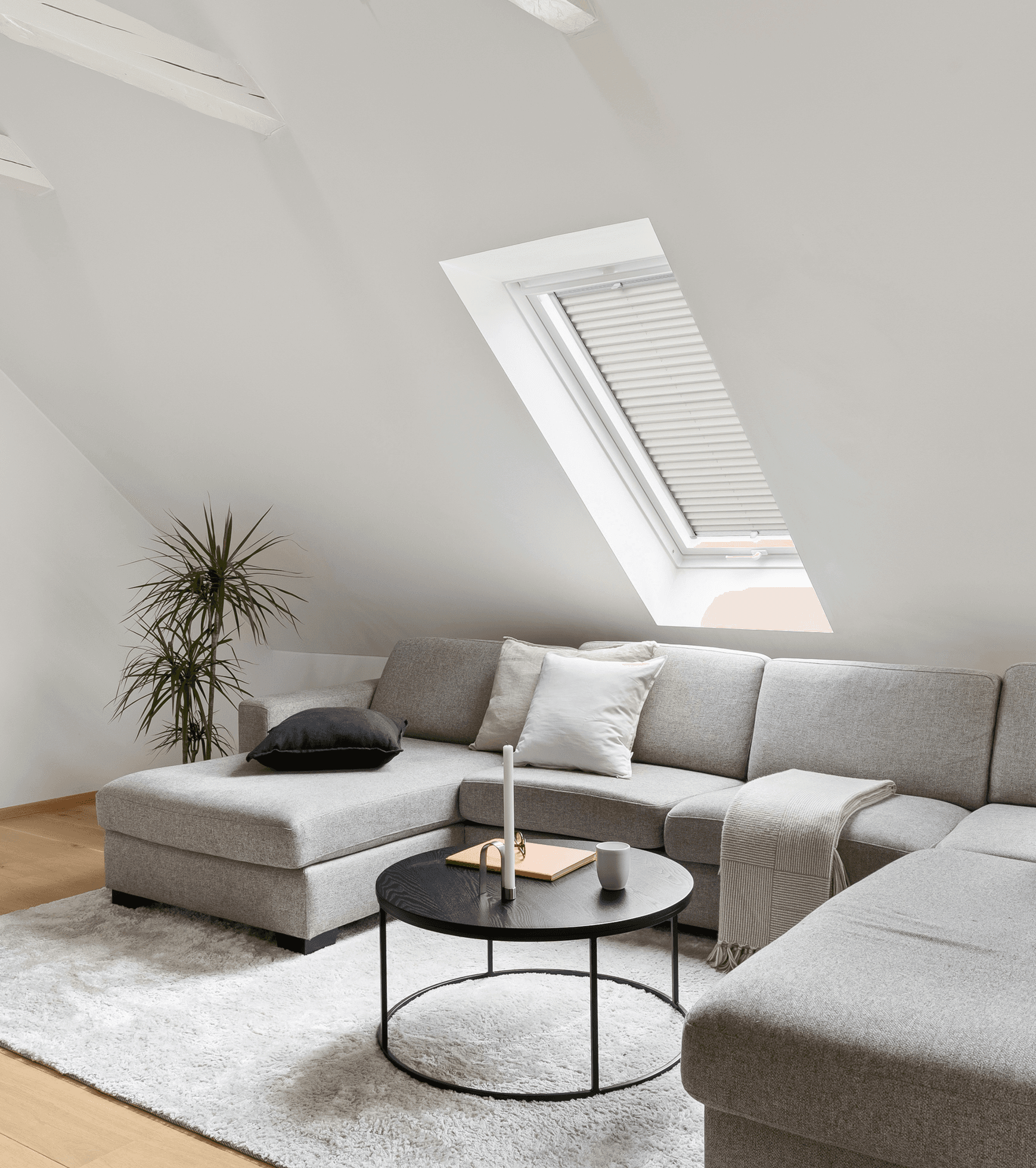 Savanna Pearl + silver profile