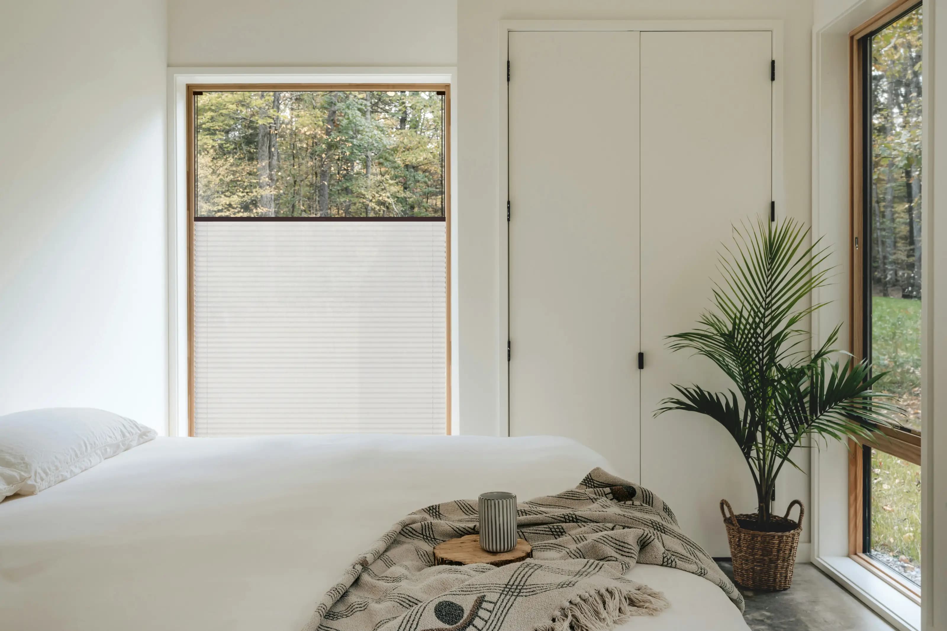 Oat Pearl + mahagony brown profile