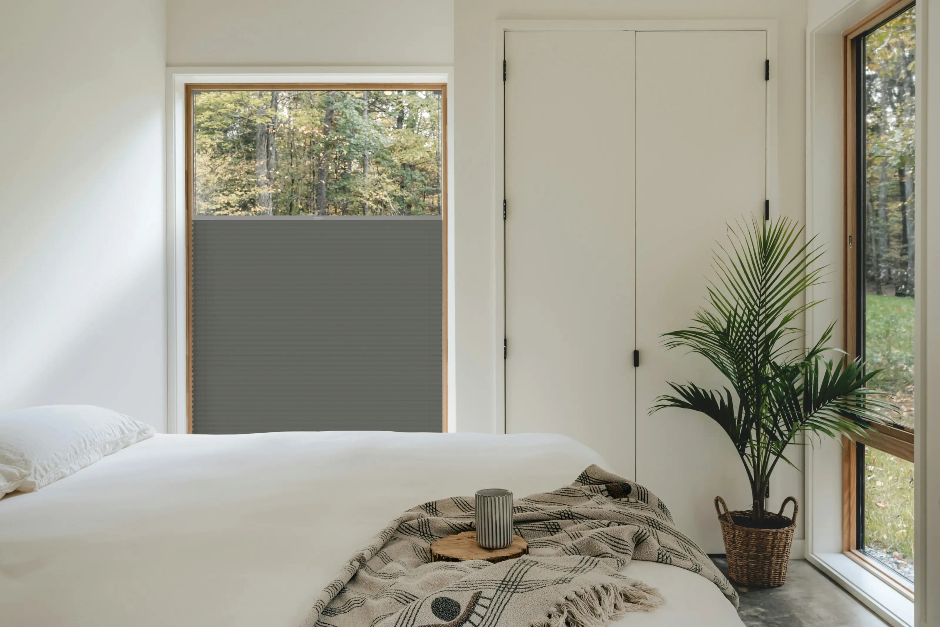 Olive Grove BO + silver profile